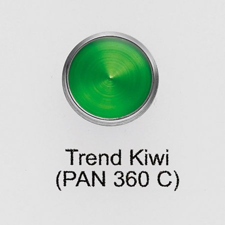Trend Kiwi